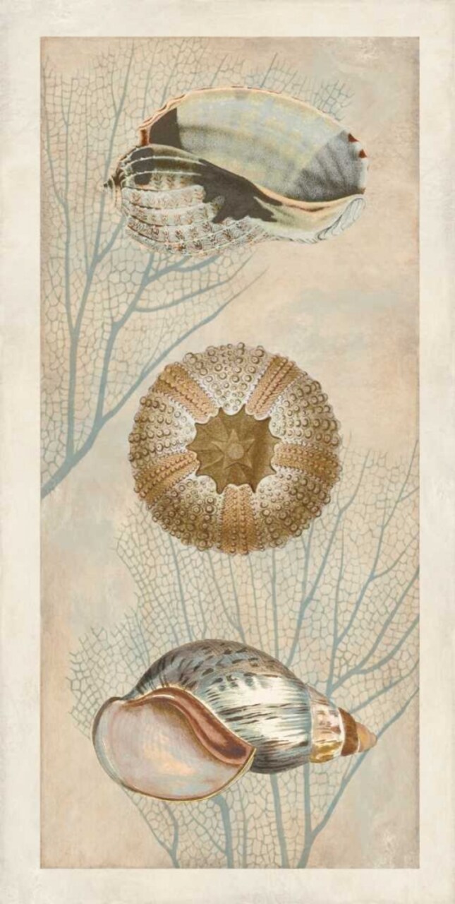 Ocean Companions II by Deborah Devellier - Item # VARPDXDDV7413